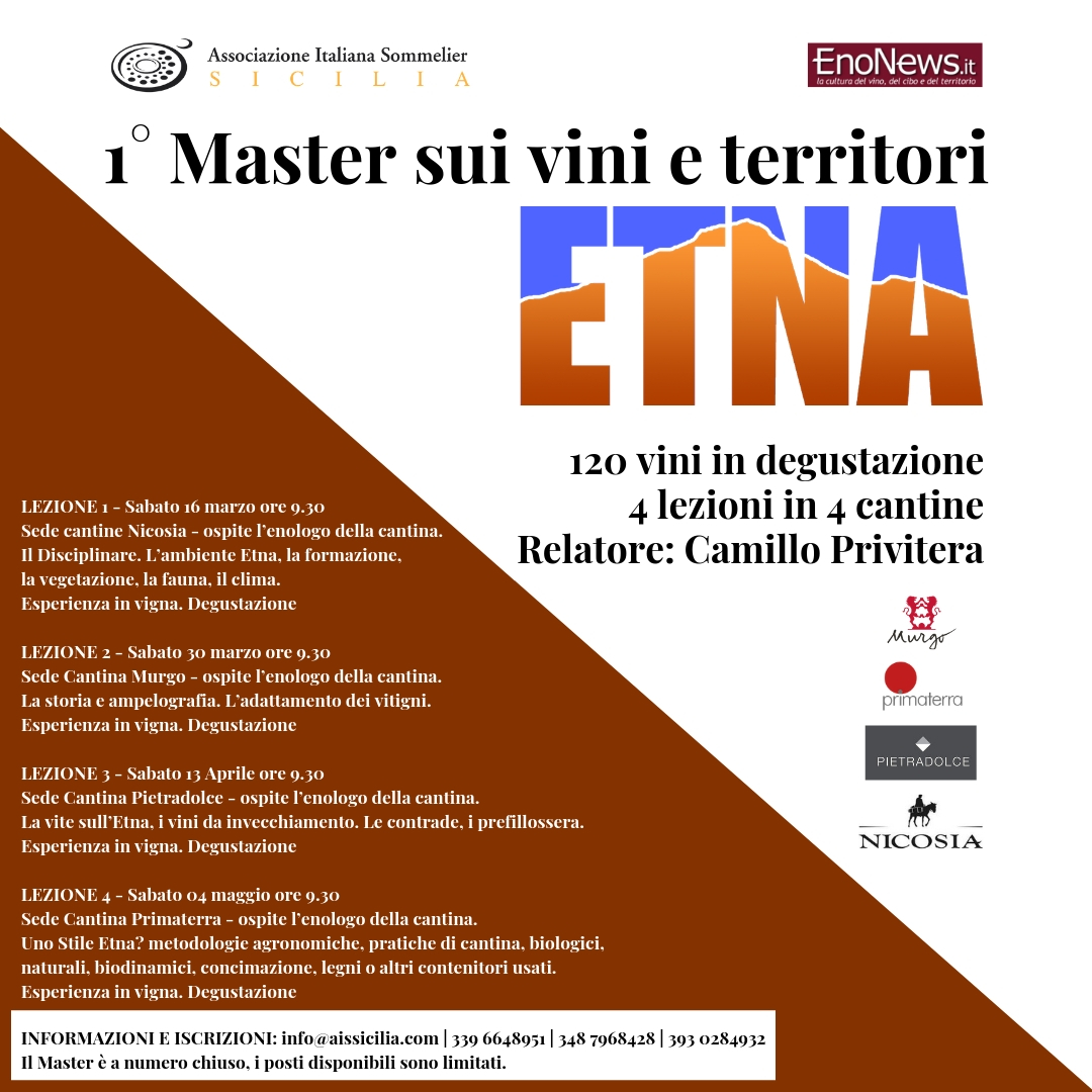 master vini
