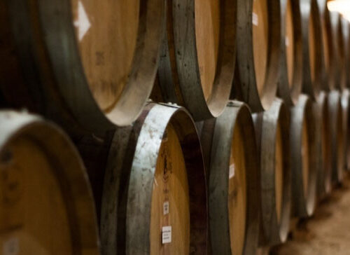 Lezione 14 – Visita a un’azienda vitivinicola