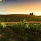 Corso Sommelier lezione 2 ais sicilia