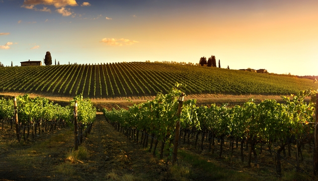 Corso Sommelier lezione 2 ais sicilia