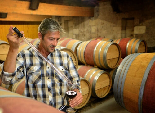 Lezione 3 – Enologia, La produzione del vino