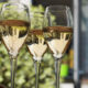 Corso Sommelier lezione 8 ais sicilia