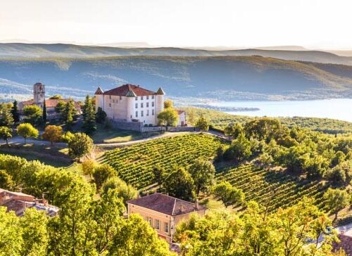 Lezione 12 – Vitivinicoltura in Francia
