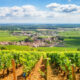 Corso Sommelier secondo livello lezione 13 ais sicilia