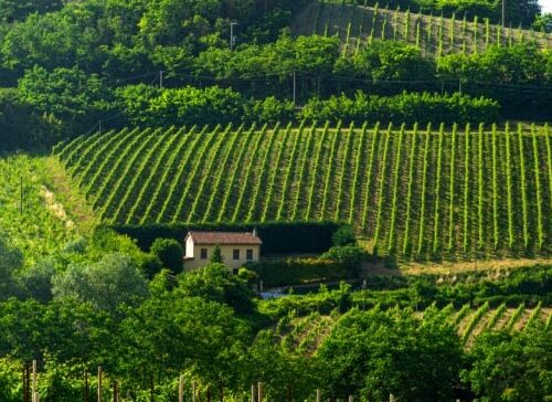 Lezione 3 – Lombardia e Trentino Alto Adige