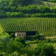 Corso Sommelier secondo livello lezione 3 ais sicilia