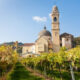 Corso Sommelier secondo livello lezione 4 ais sicilia