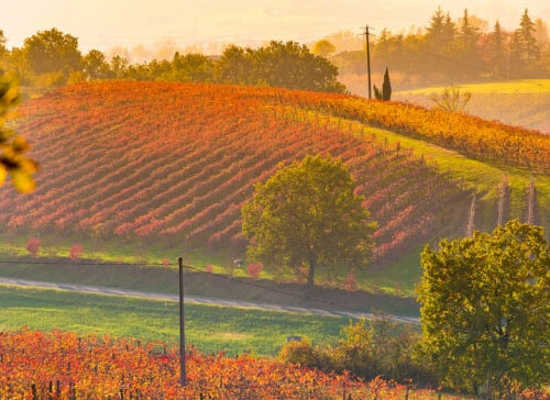 Lezione 6 – Emilia Romagna e Marche