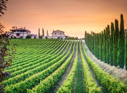 Lezione 7 – Umbria e Lazio