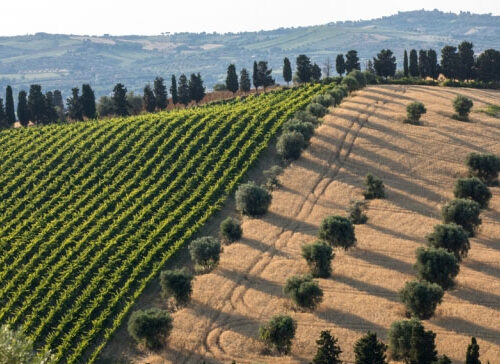 Lezione 8 – Abruzzo, Molise e Campania
