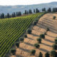 Corso Sommelier secondo livello lezione 8 ais sicilia