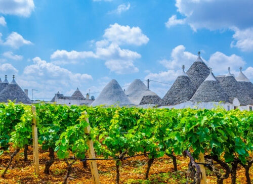 Lezione 9 – Puglia, Calabria e Basilicata