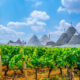 Corso Sommelier secondo livello lezione 9 ais sicilia