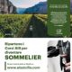 AIS SICILIA, sommelier